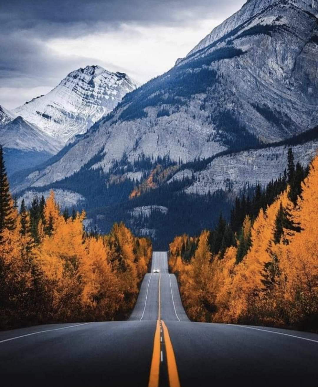 Into the Rockies